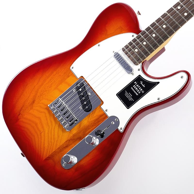 Fender MEX レリック仕様　アビゲイルイバラ　Telecaster Fender MEX レリック仕様 アビゲイルイバラ Telecaster