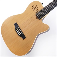 エレアコギター Godin 商品一覧｜イケベ楽器店オンラインストア