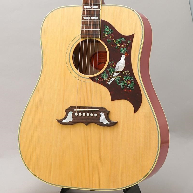 Gibson 【ブラックフライデーセール】【1本限定大特価！】Dove