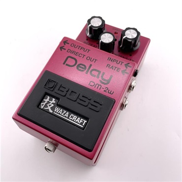 DFZ INFINITO DELAY ギター エフェクター ディレイ DFZ INFINITO DELAY ギター エフェクター ディレイ 楽器・機材