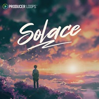 SOLACE(オンライン納品)(2時間以内に納品)