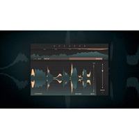 Deesser(ソフチューブ)(プラグインソフト)(オンライン納品)