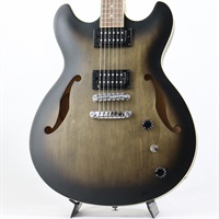 Artcore AS53-TKF (Transparent Black Flat) 【サンプルB級特価品】