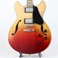 Artcore AS73FM-TAF (Transparent Autumn Fade) 【サンプルB級特価品】