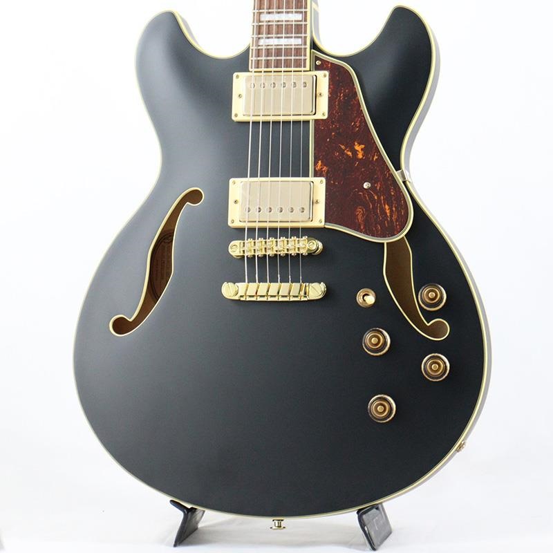 Ibanez AS73D-NT-12-02ハードケース 付き Ibanez '10 AS73D-NT – 京町家のギターショップ ライトニン