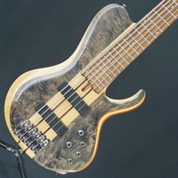 USED 中古 Bass Workshop BTB846SC-DTL