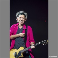 No. 19 Tokyo Japan 2014 ｽﾄｰﾝｽﾞ来日35周年有賀幹夫写真展額装