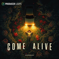 COME ALIVE(オンライン納品)(2時間以内に納品)