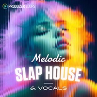 MELODIC SLAP HOUSE & VOCALS(オンライン納品)(2時間以内に納品)