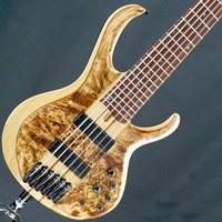 USED 中古 Bass Workshop BTB846V