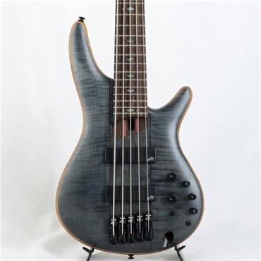 Ibanez SR1455DW-TGF 【国内イケベ独占販売限定モデル / イケベ50周年特別キャンペーン】