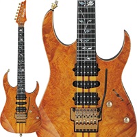 VISIONS IV1RG 【受注生産品】
