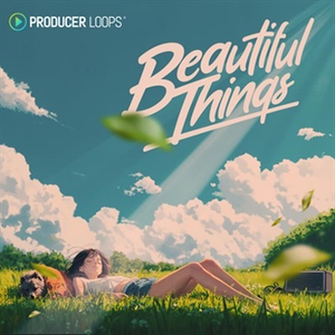 PRODUCER LOOPS BEAUTIFUL THINGS(オンライン納品)(2時間以内に納品)
