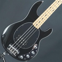 USED 中古 StingRay EX (Black/Maple)