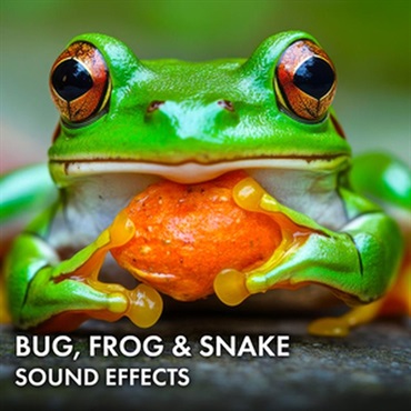 SOUND IDEAS Bug， Frog & Snake Sound Effects(オンライン納品)(2時間以内に納品)