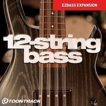 【トゥーントラックホリデーセール！】EBX - 12-String Bass (EBX拡張ライブラリ)(オンライン納品)(2時間以内に納品)