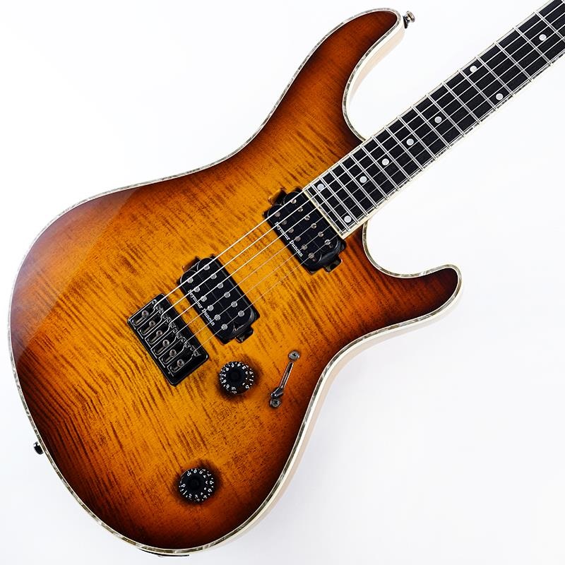 MAYONES USED 中古 Regius 6 (Trans Dirty Brown Burst Gloss