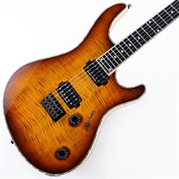 USED 中古 Regius 6 (Trans Dirty Brown Burst Gloss)
