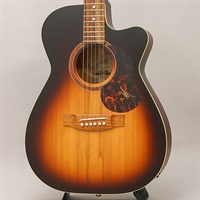 USED 中古 Performer 2023 LTD メイトン