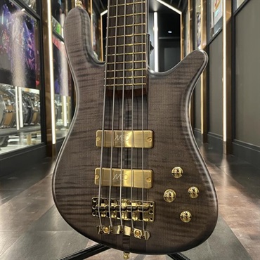 Warwick Custom Shop Streamer Stage I 5st (Nirvana Black
