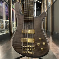 Custom Shop Streamer Stage I 5st (Nirvana Black Transparent Satin/Gold Hardware)