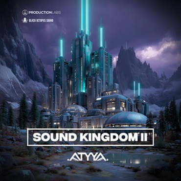 BLACK OCTOPUS ATYYA - Sound Kingdom Volume 2(オンライン納品)(2時間以内に納品)