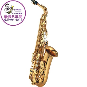 ベース エレキベース プレシジョンベースタイプ・PBタイプ