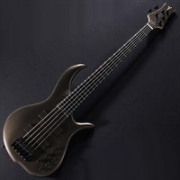BN5-ZE Macassar Ebony Fingerboard， Hipshot A Style Bridge