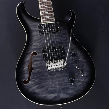 エレキギター P.R.S. PRS SE SERIES 商品一覧｜イケベ楽器店