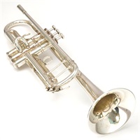 管楽器・吹奏楽器 LINK 管楽器・吹奏楽器 LINK 管楽器・吹奏楽器 商品一覧｜イケベ楽器