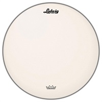 【2026年1月以降入荷予定】LW110RAC [Coated Ambassador 10'']