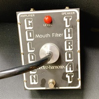 VINTAGE Golden Throat