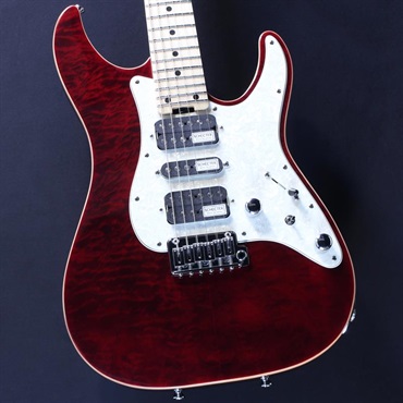 SCHECTER SD-2-24-AL-VTR (See-thru Red/Maple) #S2505064