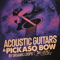 Acoustic Guitars & Pickaso Bow (アコースティックギター)(サンプルパック)(オンライン納品)(2時間以内に納品)