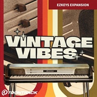 EKX - Vintage Vibes (EKX拡張音源)(トゥーントラック)(オンライン納品)(2時間以内に納品)