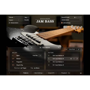 Native Instruments Session Bassist - Jam Bass (ネイティブ
