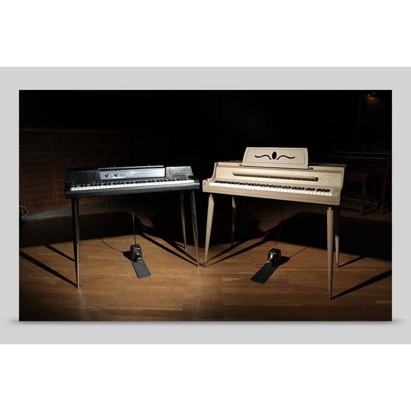 Native Instruments Electric Keys - Jade (ネイティブインストル