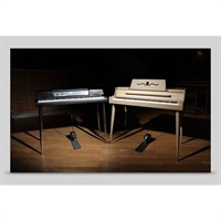 Electric Keys - Jade (ネイティブインストルメンツ)(KONTAKTインストゥルメント)(オンライン納品)(2時間以内に納品)