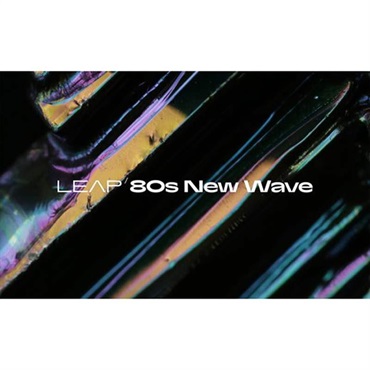 Native Instruments Leap Expansion - 80s New Wave (ネイティブインストルメンツ)(リープエクスパンション)(オンライン納品)(2時間以内に納品)