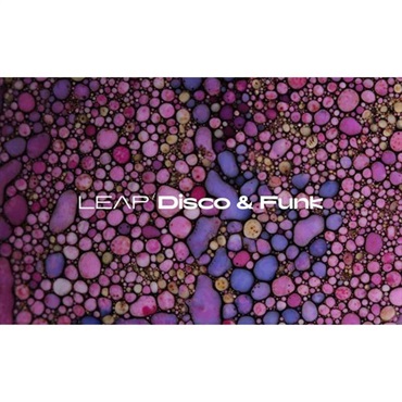 Native Instruments Leap Expansion - Disco and Funk (ネイティブインストルメンツ)(リープエクスパンション)(オンライン納品)(2時間以内に納品)