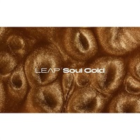 Leap Expansion - Soul Gold (ネイティブインストルメンツ)(リープエクスパンション)(オンライン納品)(2時間以内に納品)