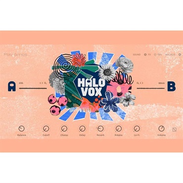 Native Instruments Halo Vox (ネイティブインストルメンツ)(Play Series音源)(オンライン納品)(2時間以内に納品)