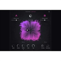 Scene: Lotus (ネイティブインストルメンツ)(KONTAKTインストゥルメント)(オンライン納品)(2時間以内に納品)