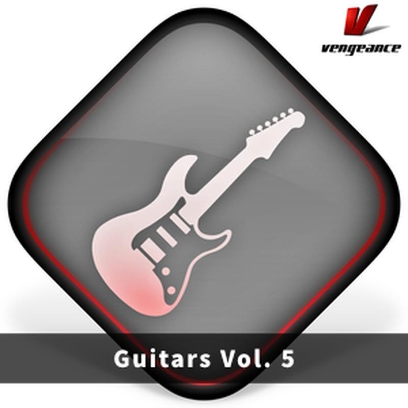 Vengeance Sound 【ベンジェンスサウンドXmas Sale！】Guitars Vol.5 (ギターマルチループ)(AVENGER2専用拡張パック)(オンライン納品)(2時間以内に納品)