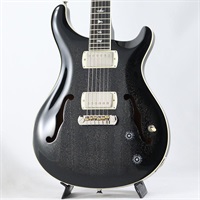 SE Hollowbody Standard (Dog Hair Smokeburst)