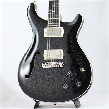 P.R.S. SE Hollowbody Standard Piezo (Dog Hair Smokeburst) ｜イケベ