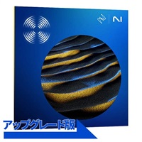 RX 11 Standard: Upgrade from RX Elements or Elements Suite(オンライン納品)(2時間以内に納品)