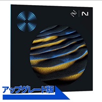 RX 11 Advanced: Upgrade from any previous version of RX Standard(オンライン納品)(2時間以内に納品)