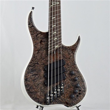 Z3 5strings Maple Burl Top/Alder Back/Wenge Neck (Transparent Charcoal and Ducati White)