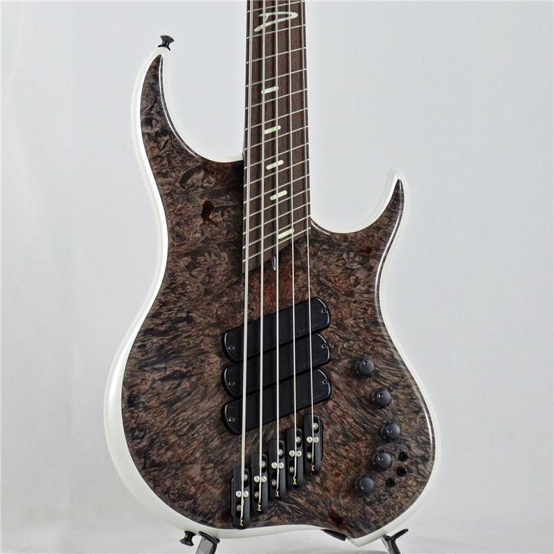 Z3 5strings Maple Burl Top/Alder Back/Wenge Neck (Transparent Charcoal and Ducati White)の商品画像